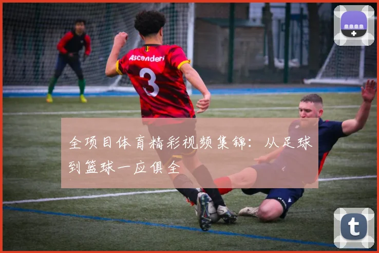 全项目体育精彩视频集锦:从足球到篮球一应俱全