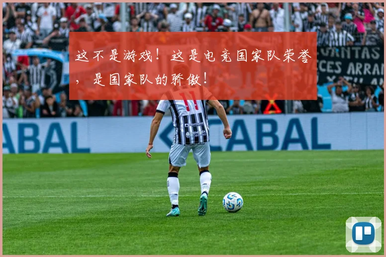这不是游戏！这是电竞国家队荣誉，是国家队的骄傲！