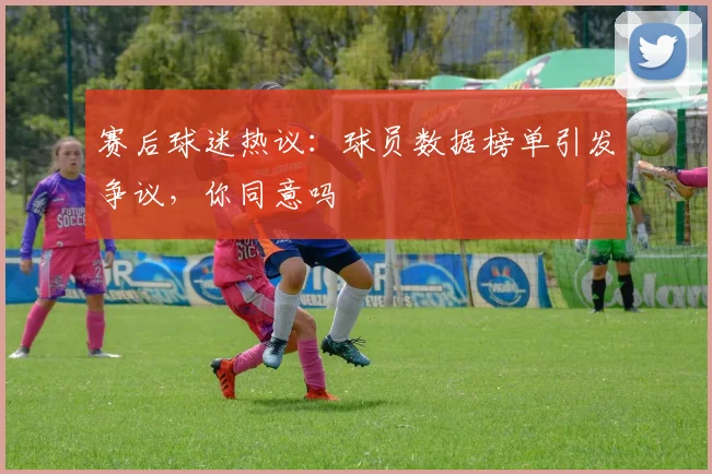 赛后球迷热议：球员数据榜单引发争议，你同意吗