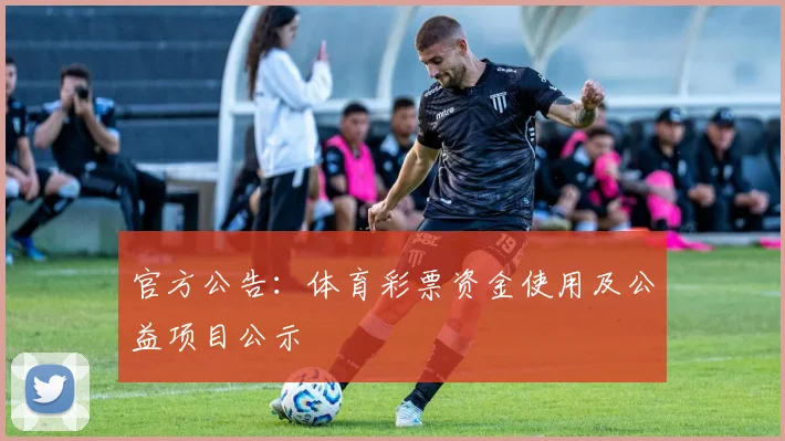 UFC轻量级冠军伤病报告及其对赛事的影响