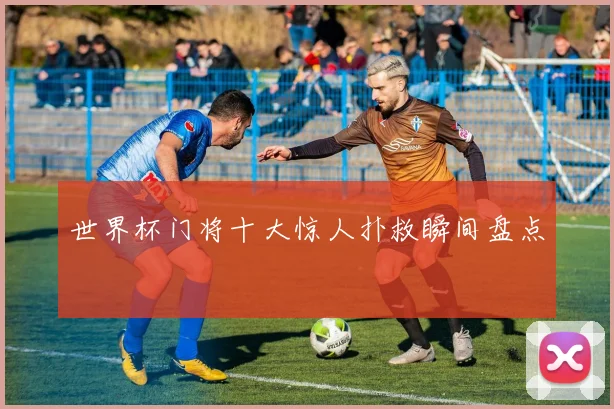 世界杯门将十大惊人扑救瞬间盘点