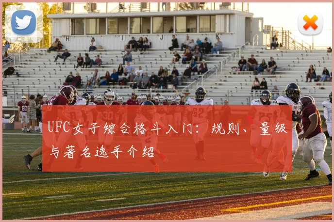 UFC女子综合格斗入门：规则、量级与著名选手介绍