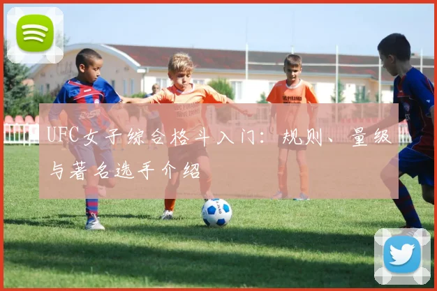 UFC女子综合格斗入门:规则、量级与著名选手介绍