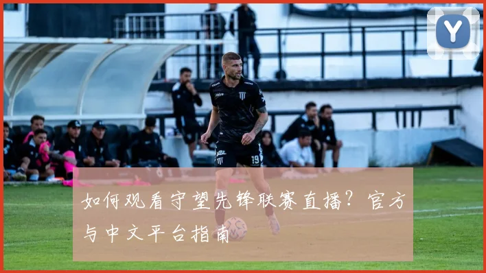 如何观看守望先锋联赛直播？官方与中文平台指南