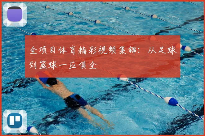 全项目体育精彩视频集锦：从足球到篮球一应俱全